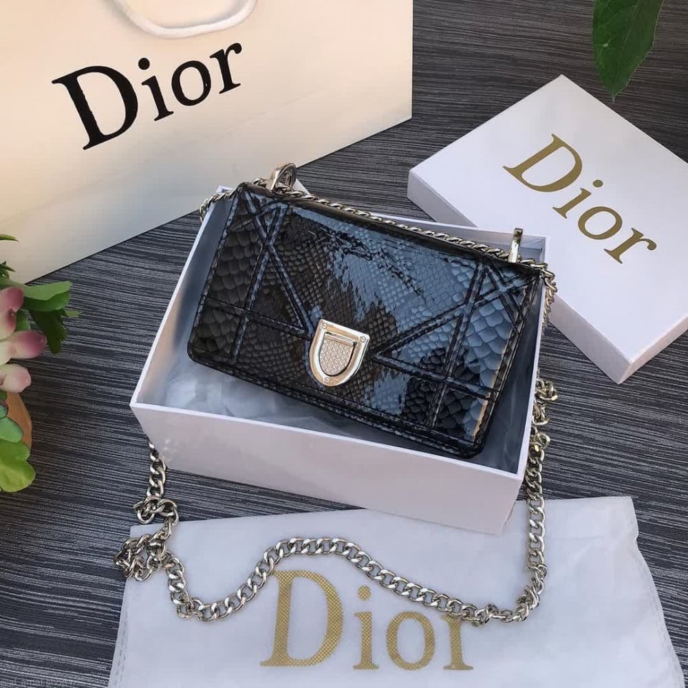 ديور smol bag