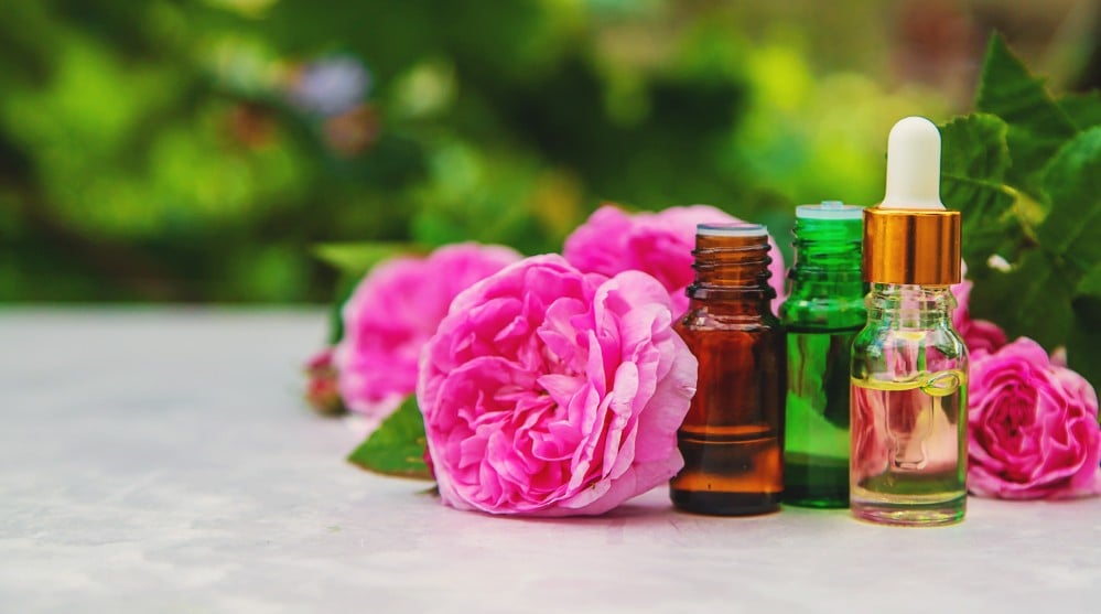 ورد الطائف...عطر الملوك وعبق التاريخ