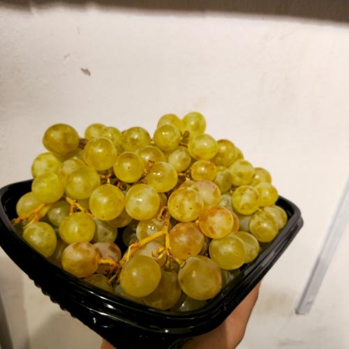 عنب طائفي