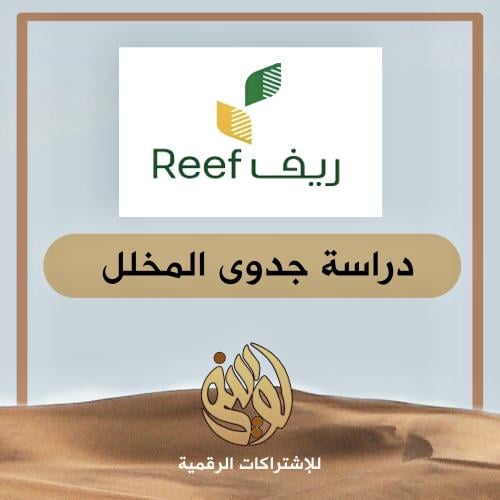 دراسة جدوى صناعة المخلل