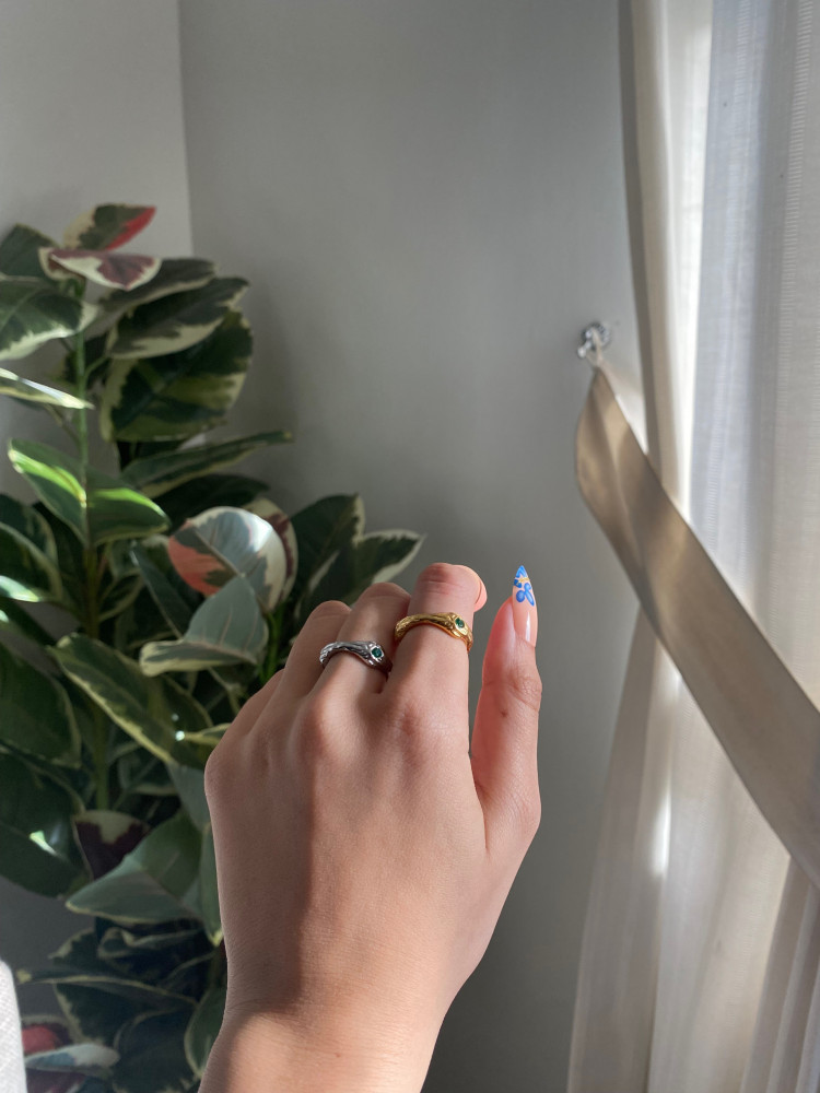 Titanium gold plated ring