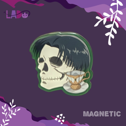 مغناطيس ليفاي