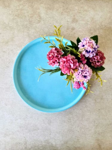 قالب سيليكون جاهز صينية دائرية بحافة وسط (26.5*2.4 سم)