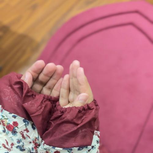 عرض فلاور