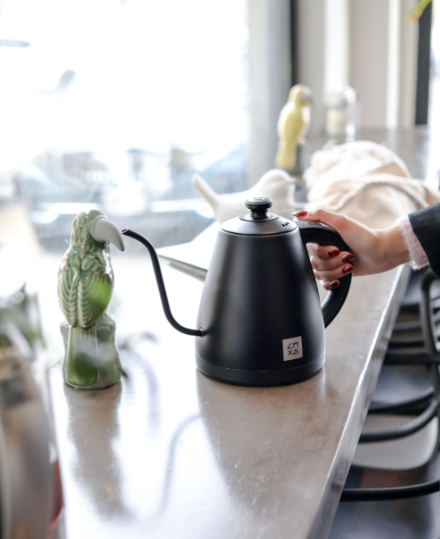 Gooseneck Electric Kettle Goose Tea Kettle Goose Neck White