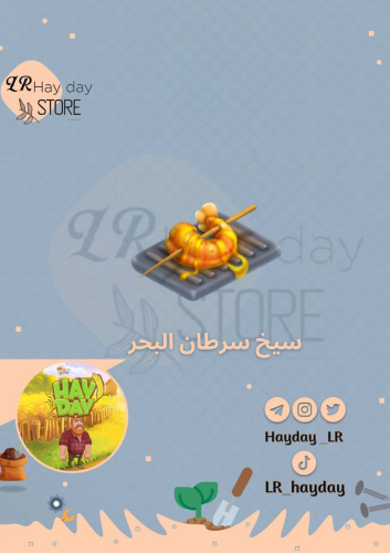 50 سيخ سرطان البحر /هاي داي
