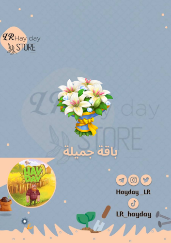 50 باقة جميلة / هاي داي