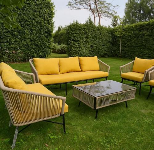 جلسة خارجية  كموني