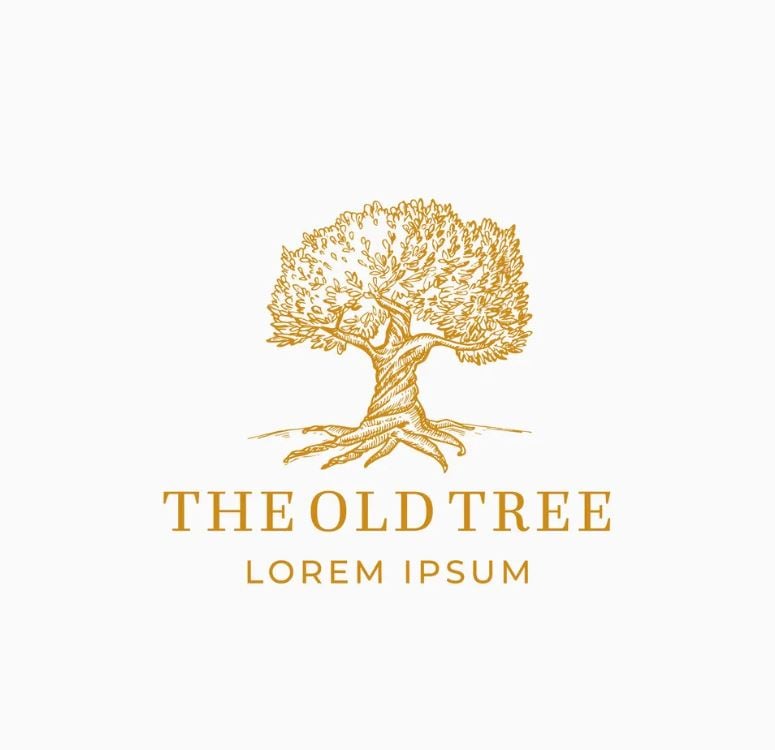 The Old Tree-ذا أولد تري