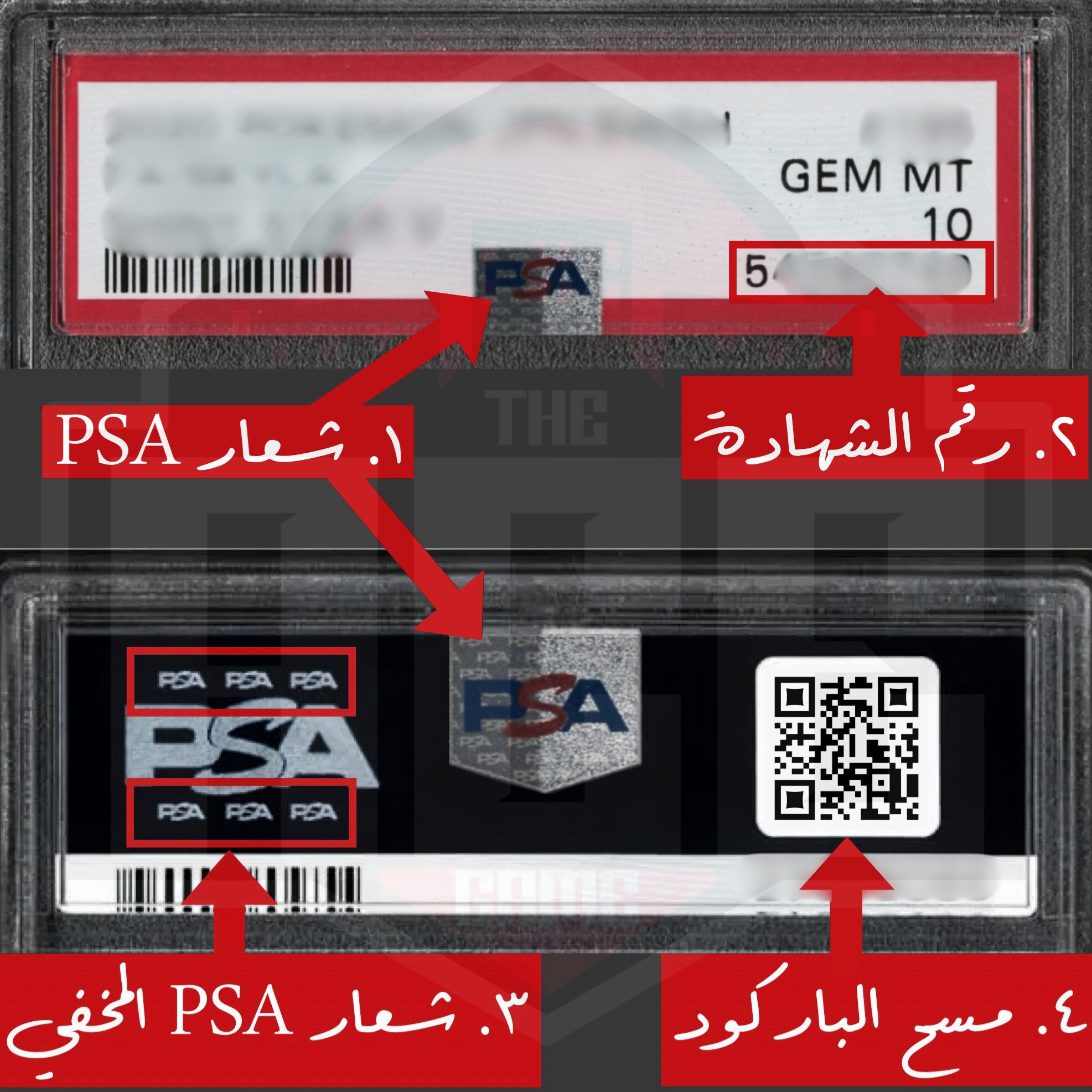 PSA 10 Wugtrio ex 190/162 Temporal Forces 2024 Gem Mint