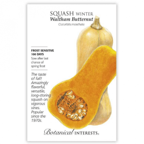 بذور قرع الجوز - Waltham Butternut Winter Squash S...