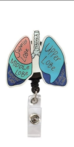 كارد هولدر على شكلanatomy lung