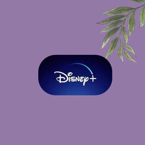 اشتراك ديزني بلس | Disney Plus