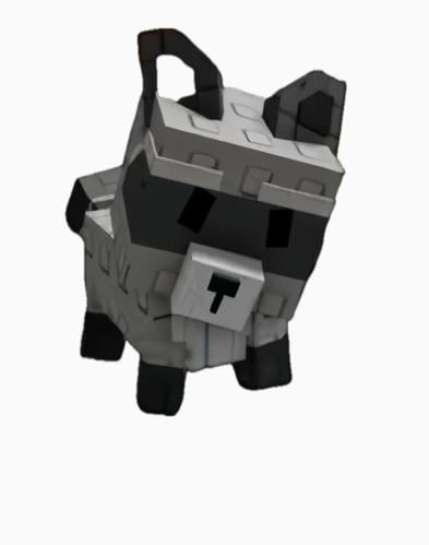 راكون ـ Raccoon