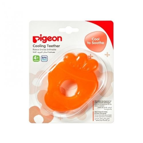 بيجون عضاضة جزر  للثة