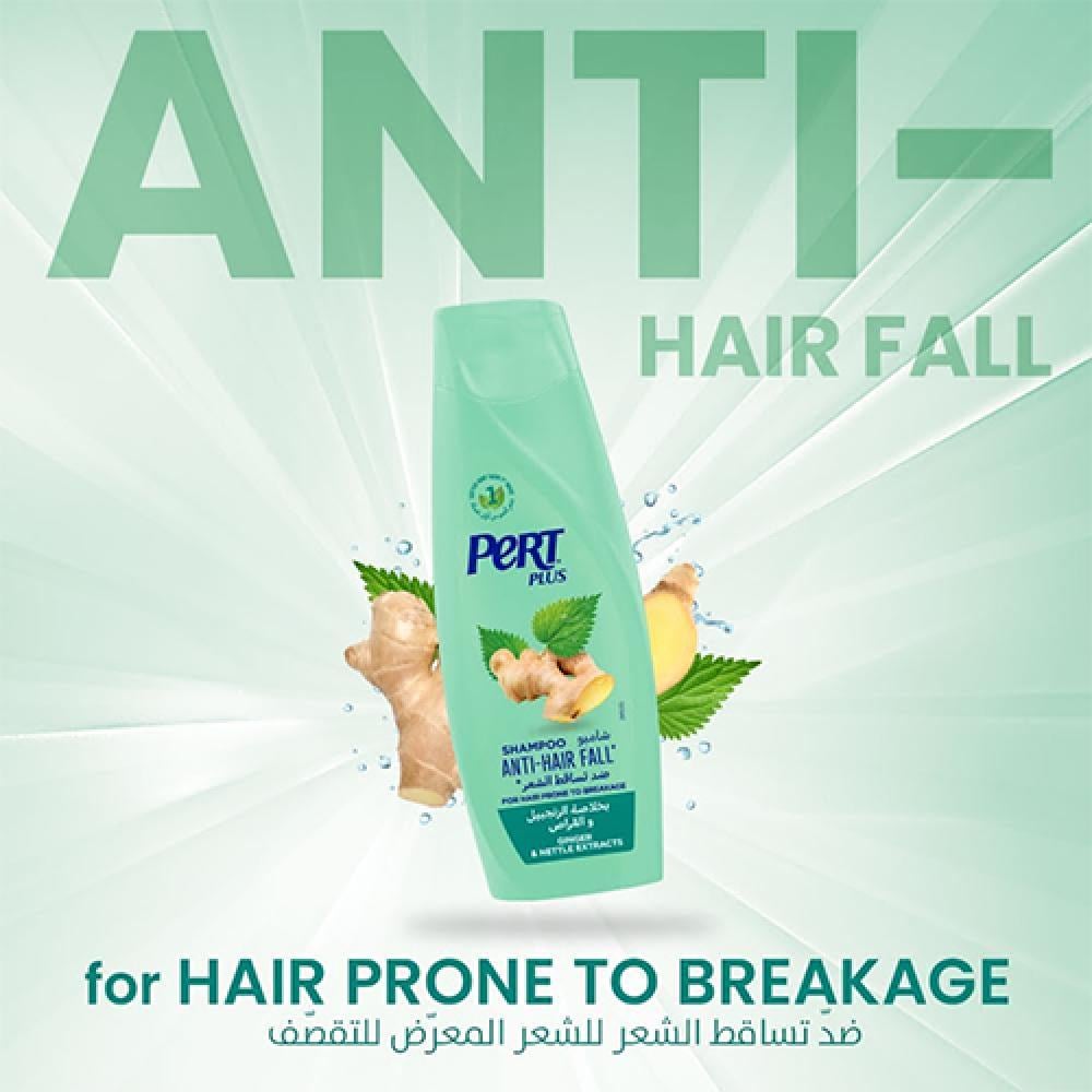 برت بلاس شامبو بخلاصة الزنجبيل - 200 مل