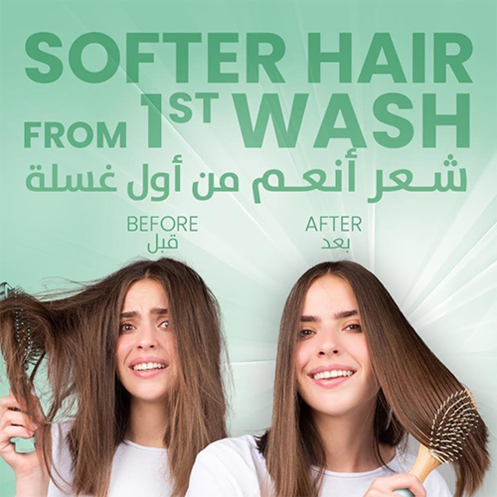 برت بلاس شامبو بخلاصة الزنجبيل - 200 مل