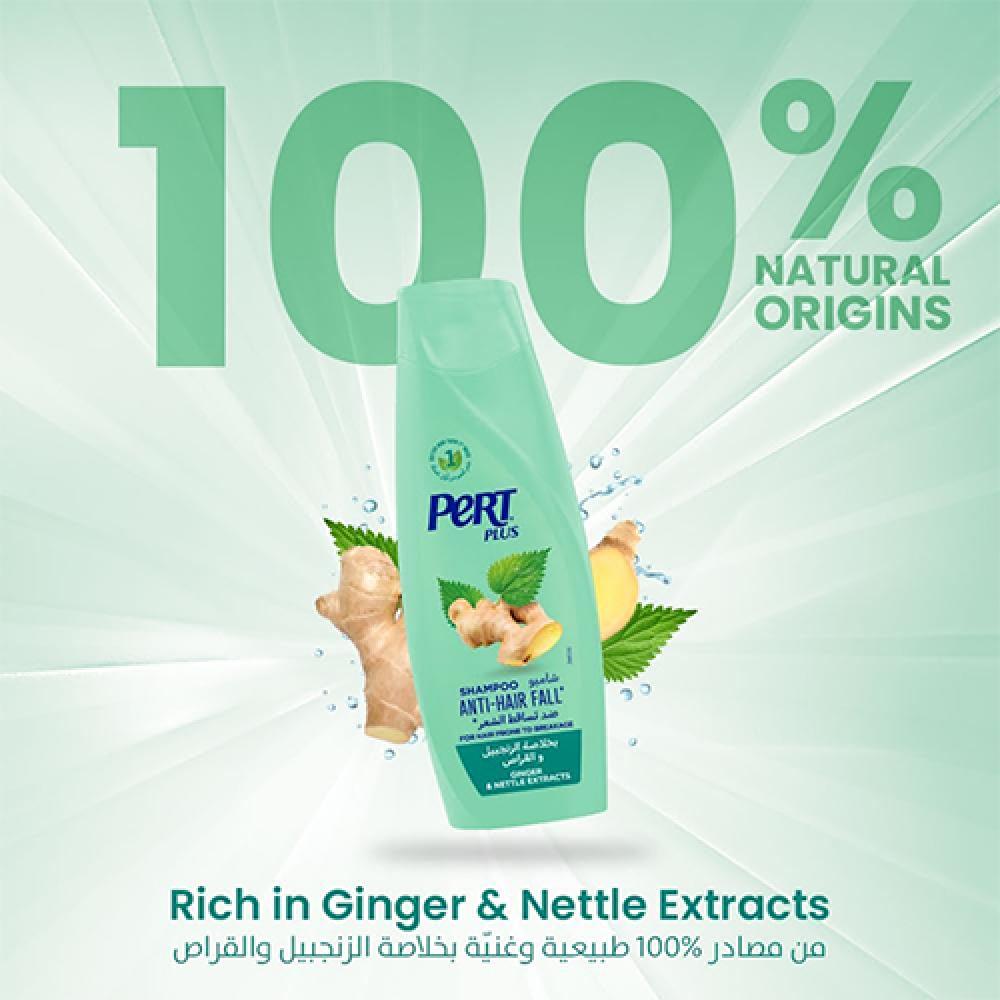 برت بلاس شامبو بخلاصة الزنجبيل - 200 مل