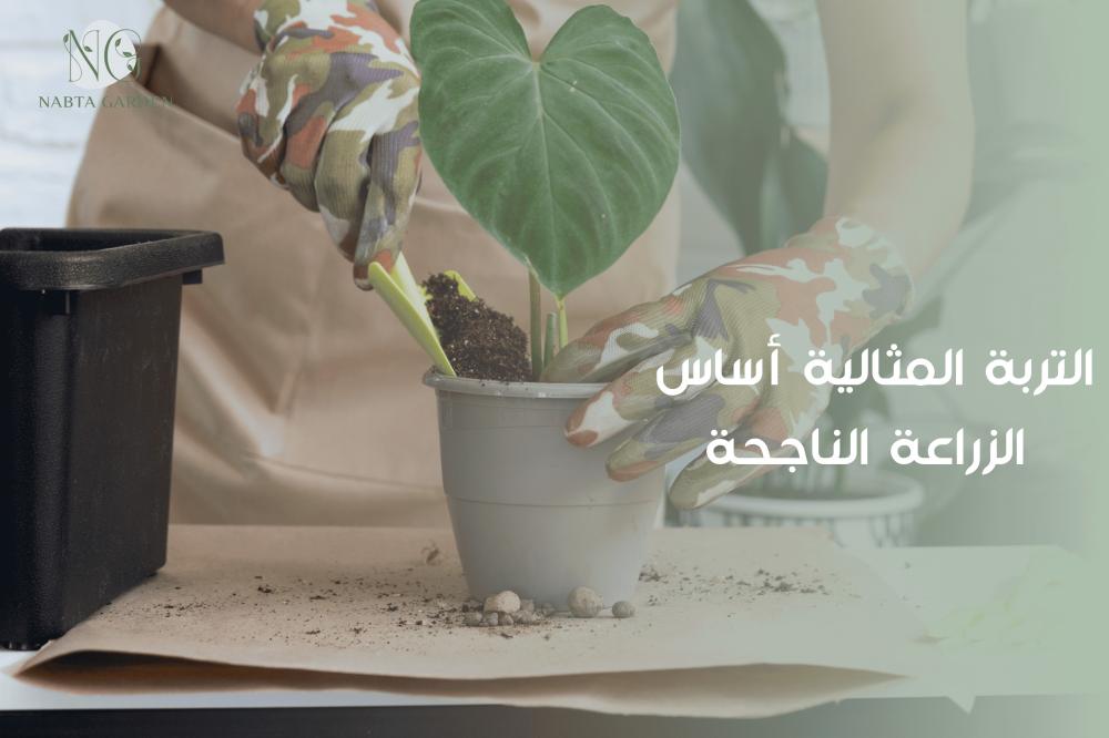 التربة الزراعية