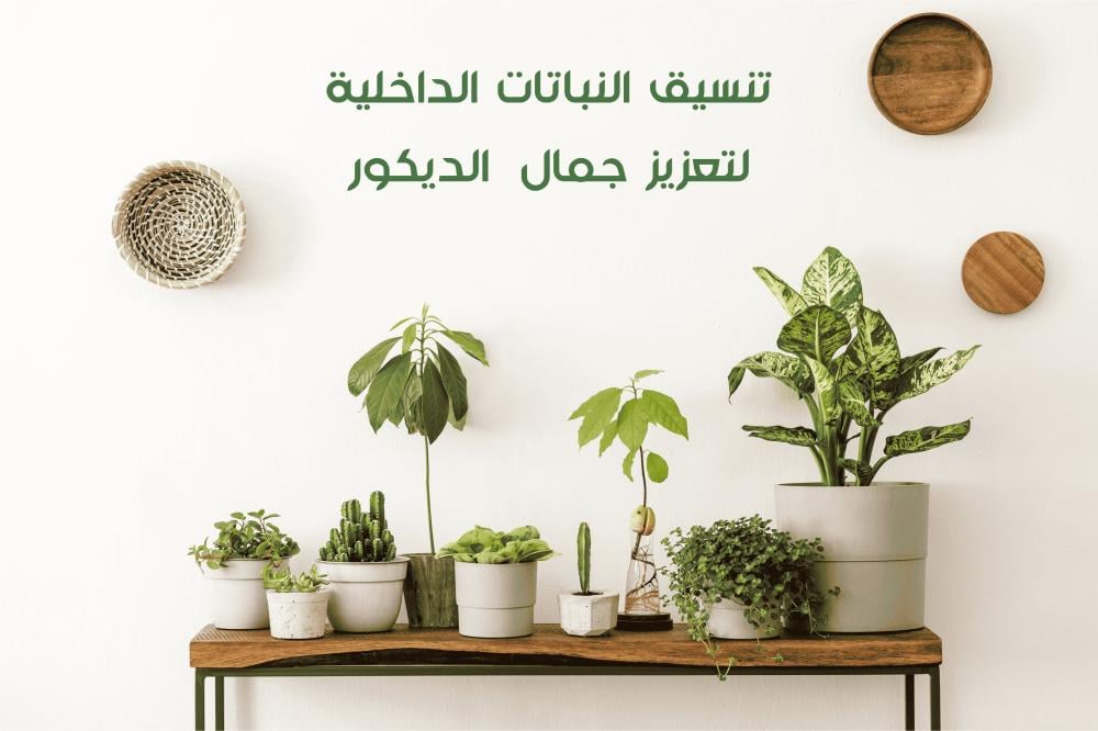 تنسيق النباتات
