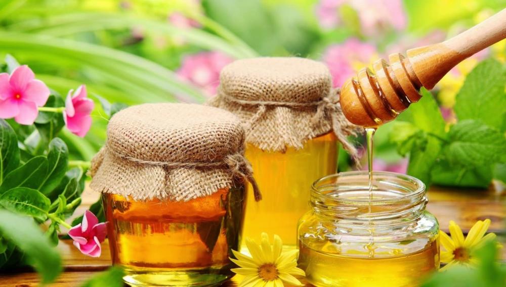 فوائد العسل مع البابونج للجسم والصحة العامة