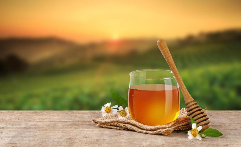 الفرق بين عسل البرسيم وعسل الموالح: دليل شامل للصحة والطعم