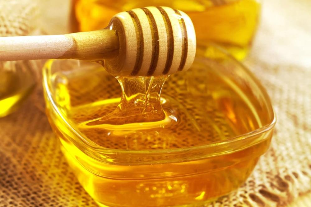 كيف يصنع النحل العسل؟ دليل شامل لعملية إنتاج العسل الطبيعي