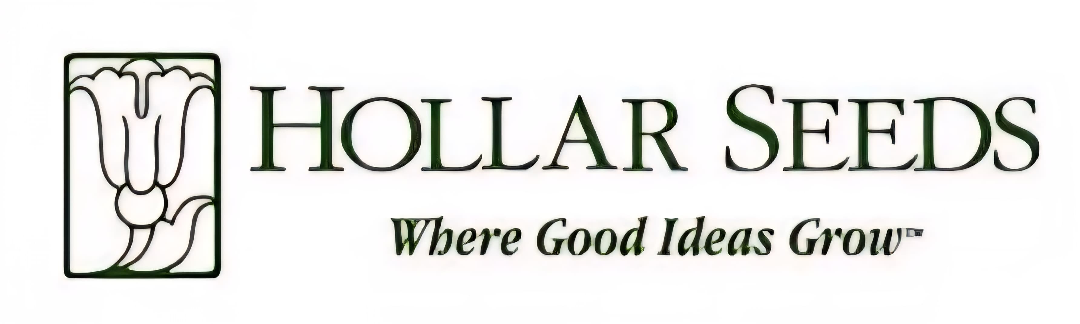 HOLLAR SEEDS