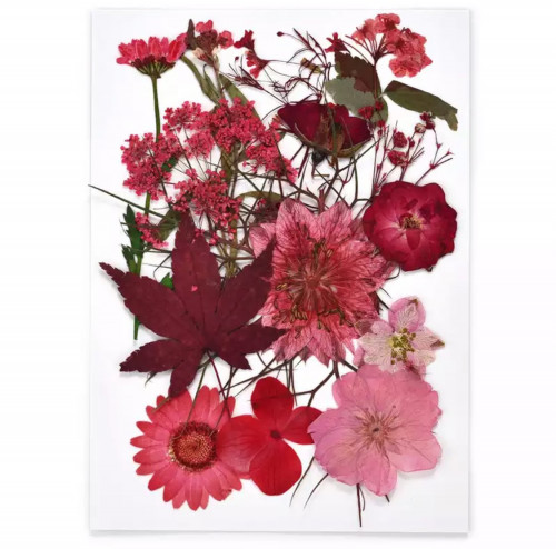 ورد طبيعي مجفف