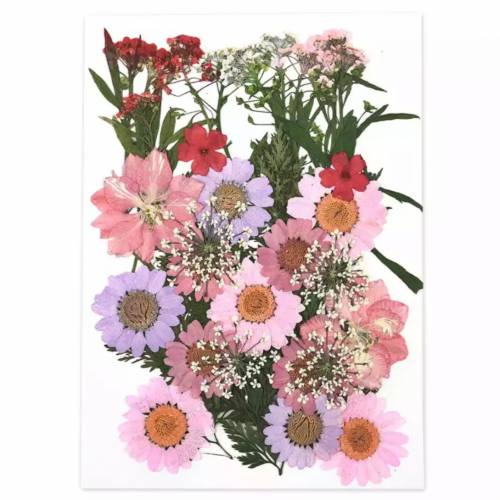 ورد طبيعي مجفف