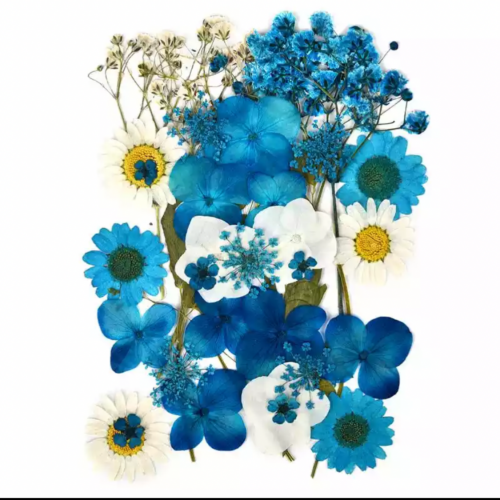 ورد طبيعي مجفف