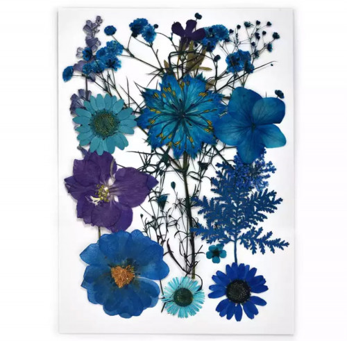 ورد طبيعي مجفف