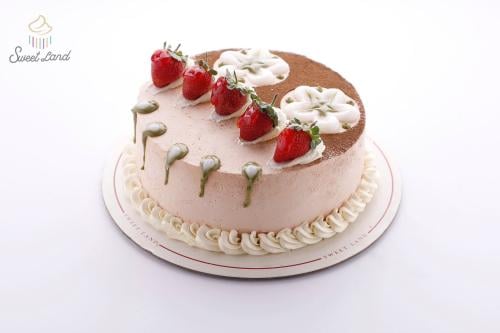 كيك ايفازيون