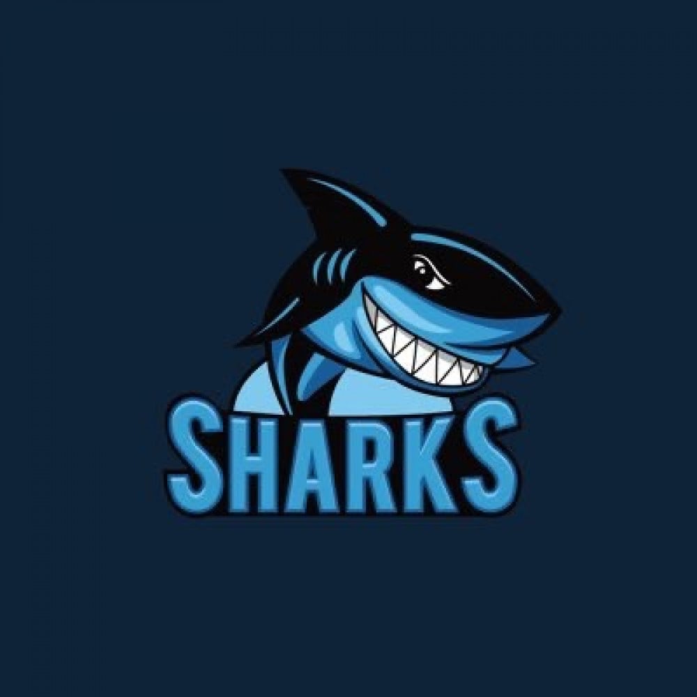 فوائد باكج حماية الجوال من شاركس