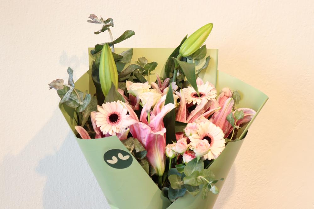 البوكيه الكوري الهولندي