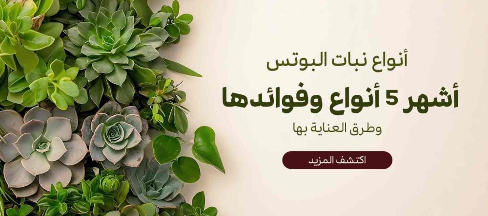 أنواع نبات البوتس أشهر