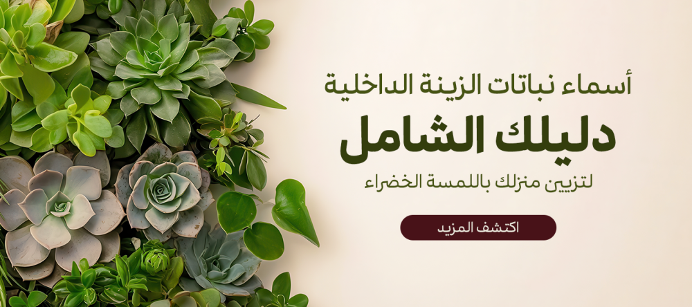 اسماء نباتات الزينة الداخلية: دليلك الشامل لتزيين منزلك باللمسة الخضرا