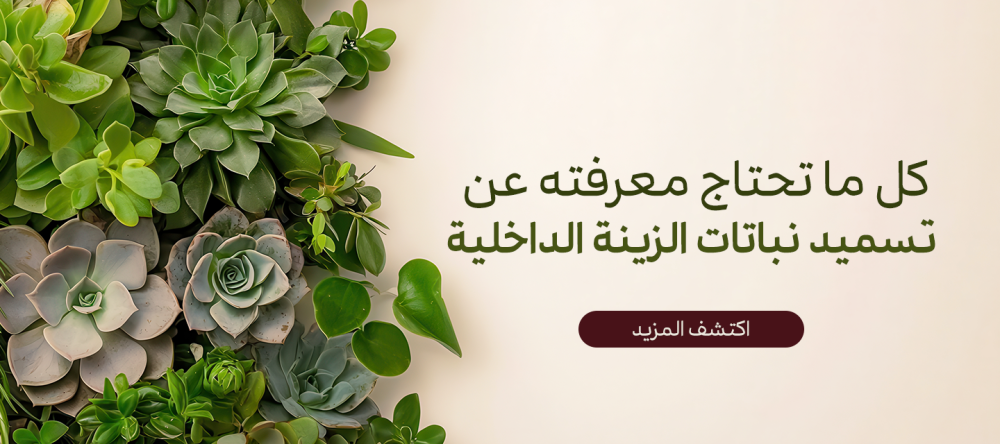 دليلك لكل ما تحتاج معرفته عن تسميد نباتات الزينة الداخلية