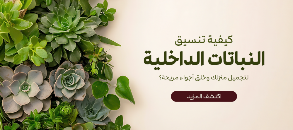 كيف تنسيق النباتات الداخلية لتجميل منزلك وخلق أجواء مريحة