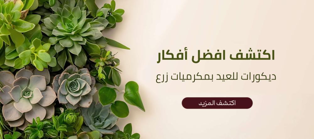 اكتشف افضل أفكار ديكورات للعيد بمكرميات زرع-اكتشفها الآن