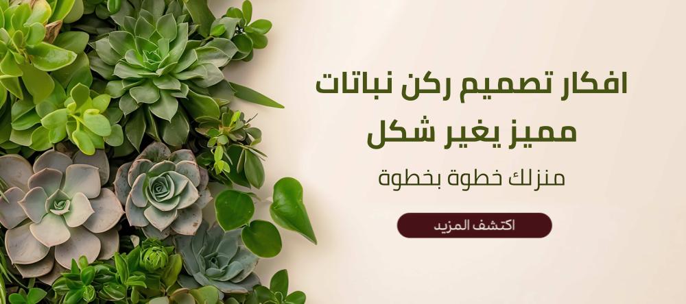 افكار تصميم ركن نباتات مميز يغير شكل منزلك خطوة بخطوة