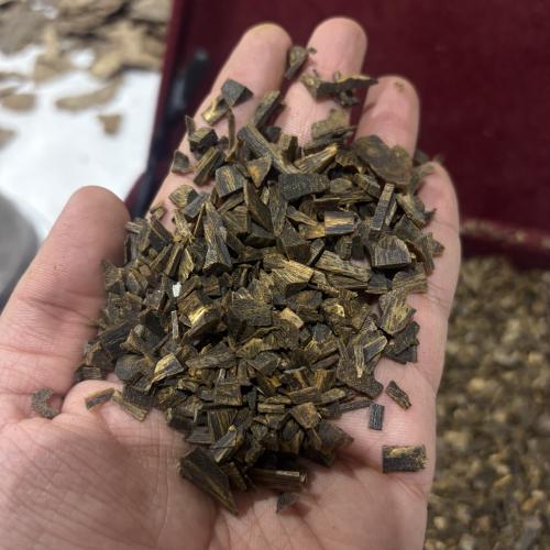 عود كينام اندر ووتر