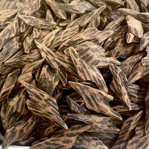 عرض 10 أوقيات كمبودي تايقر