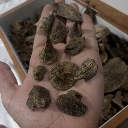 مروكي حي قواقع سوبر مرتفع فاخر