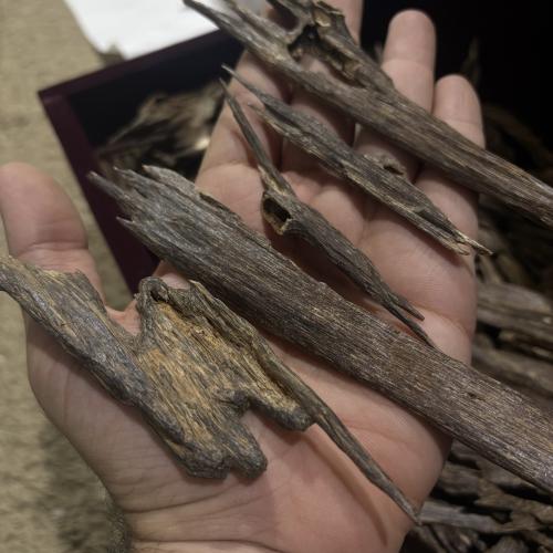 هندي نقلاند دبل نقوة