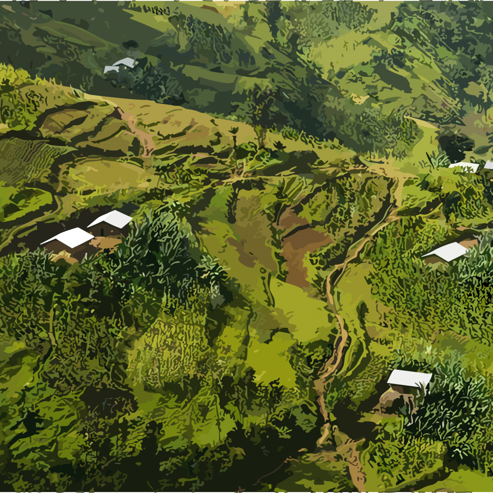 مغامرة مذاق لا تُنسى: استمتع بسحر قهوة يرقتشافي تشيليتشيلي الإثيوبية بإيحاءات فروالة وحلاوة ساحرة