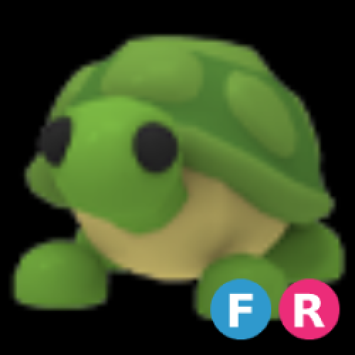 FR Turtle