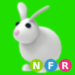 NFR Rabbit