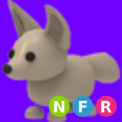 NFR Fennec Fox