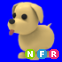 NFR Dog